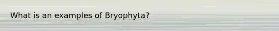 What is an examples of Bryophyta?