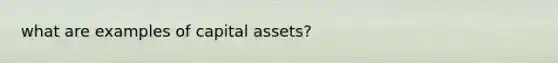 what are examples of capital assets?