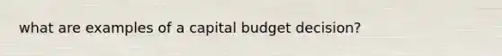 what are examples of a capital budget decision?