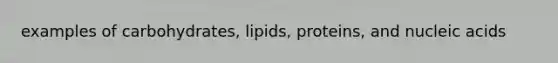 examples of carbohydrates, lipids, proteins, and nucleic acids