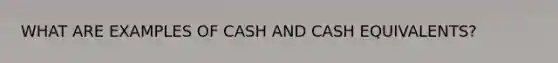 WHAT ARE EXAMPLES OF CASH AND CASH EQUIVALENTS?