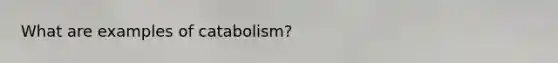 What are examples of catabolism?