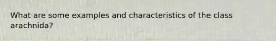 What are some examples and characteristics of the class arachnida?