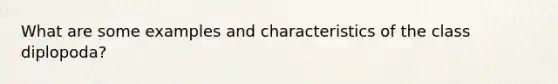 What are some examples and characteristics of the class diplopoda?