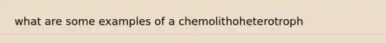 what are some examples of a chemolithoheterotroph