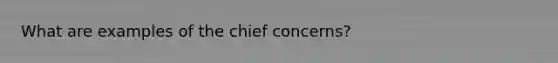 What are examples of the chief concerns?