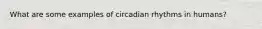 What are some examples of circadian rhythms in humans?