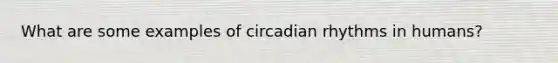 What are some examples of circadian rhythms in humans?