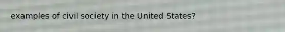 examples of civil society in the United States?