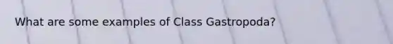 What are some examples of Class Gastropoda?