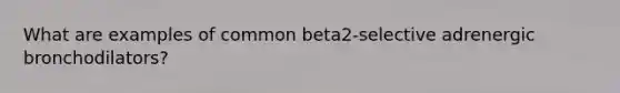 What are examples of common beta2-selective adrenergic bronchodilators?