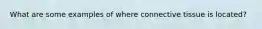 What are some examples of where connective tissue is located?