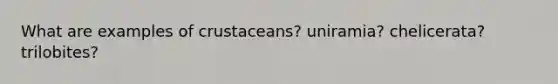 What are examples of crustaceans? uniramia? chelicerata? trilobites?