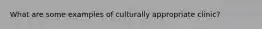 What are some examples of culturally appropriate clinic?