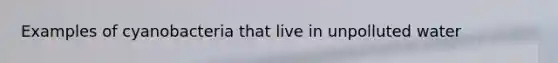 Examples of cyanobacteria that live in unpolluted water