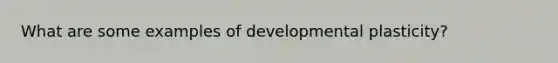 What are some examples of developmental plasticity?