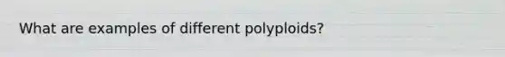 What are examples of different polyploids?