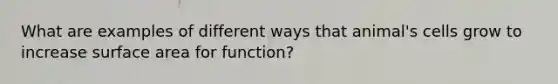 What are examples of different ways that animal's cells grow to increase surface area for function?