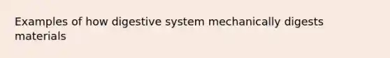 Examples of how digestive system mechanically digests materials