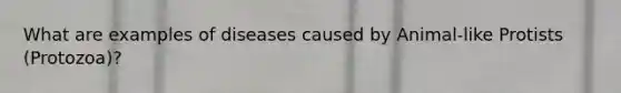 What are examples of diseases caused by Animal-like Protists (Protozoa)?