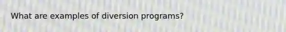 What are examples of diversion programs?