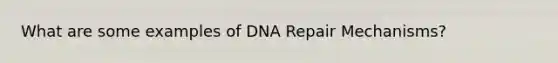 What are some examples of DNA Repair Mechanisms?