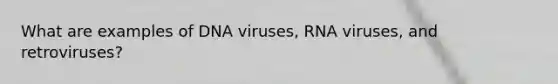 What are examples of DNA viruses, RNA viruses, and retroviruses?