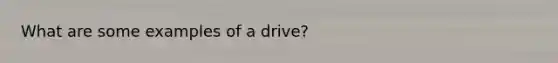 What are some examples of a drive?