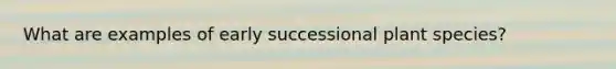 What are examples of early successional plant species?