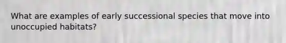What are examples of early successional species that move into unoccupied habitats?