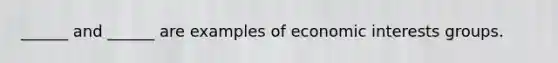 ______ and ______ are examples of economic interests groups.