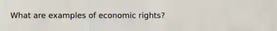 What are examples of economic rights?