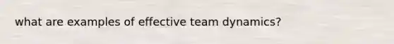 what are examples of effective team dynamics?