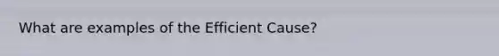 What are examples of the Efficient Cause?