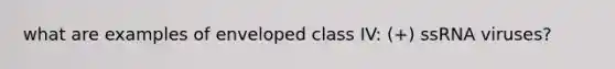 what are examples of enveloped class IV: (+) ssRNA viruses?