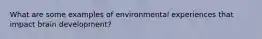 What are some examples of environmental experiences that impact brain development?