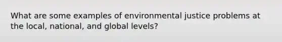 What are some examples of environmental justice problems at the local, national, and global levels?