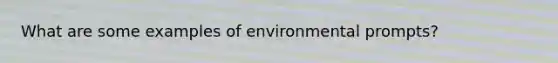 What are some examples of environmental prompts?