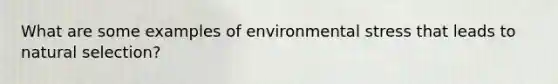 What are some examples of environmental stress that leads to natural selection?