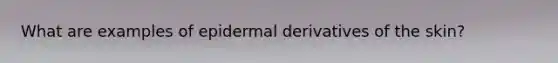 What are examples of epidermal derivatives of the skin?