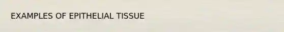 EXAMPLES OF <a href='https://www.questionai.com/knowledge/k7dms5lrVY-epithelial-tissue' class='anchor-knowledge'>epithelial tissue</a>