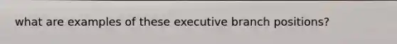 what are examples of these executive branch positions?