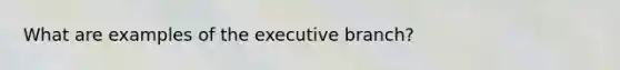 What are examples of the executive branch?