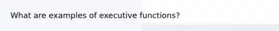 What are examples of executive functions?