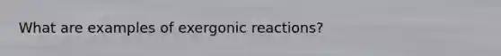 What are examples of exergonic reactions?