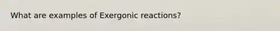 What are examples of Exergonic reactions?