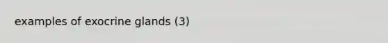 examples of exocrine glands (3)