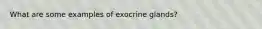 What are some examples of exocrine glands?