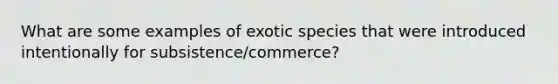 What are some examples of exotic species that were introduced intentionally for subsistence/commerce?