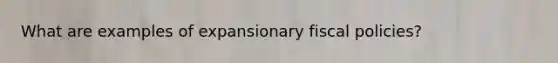 What are examples of expansionary fiscal policies?